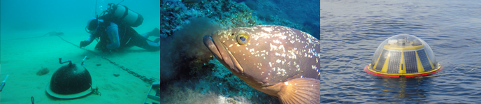 Doble Grado en Ciencias Ambientales + Ciencias y Tecnologas del Mar