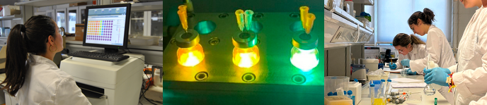 Doble Grado en Biotecnologa + Qumica