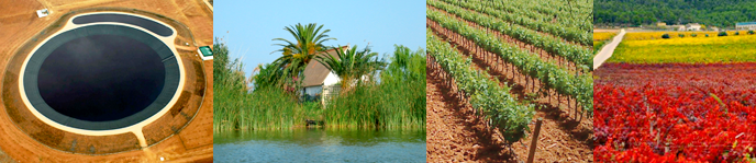 Doble Mster Universitario en Ingeniera Agronmica + Economa Agroalimentaria y del Medio Ambiente