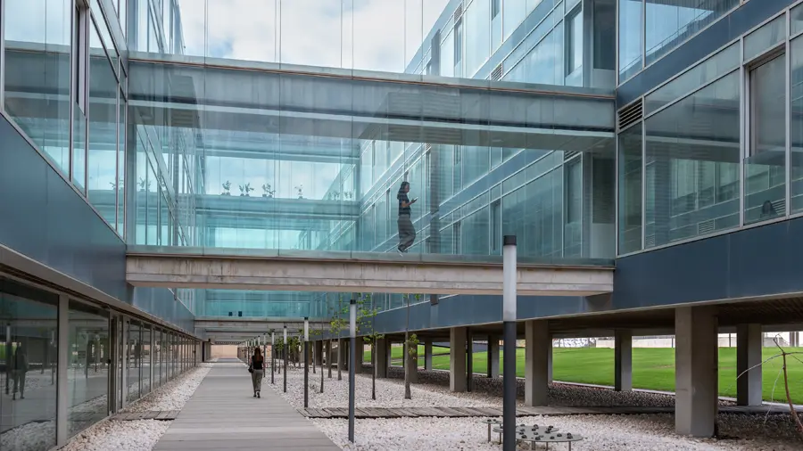 Imagen representativa de Estructuras de apoyo a la investigación