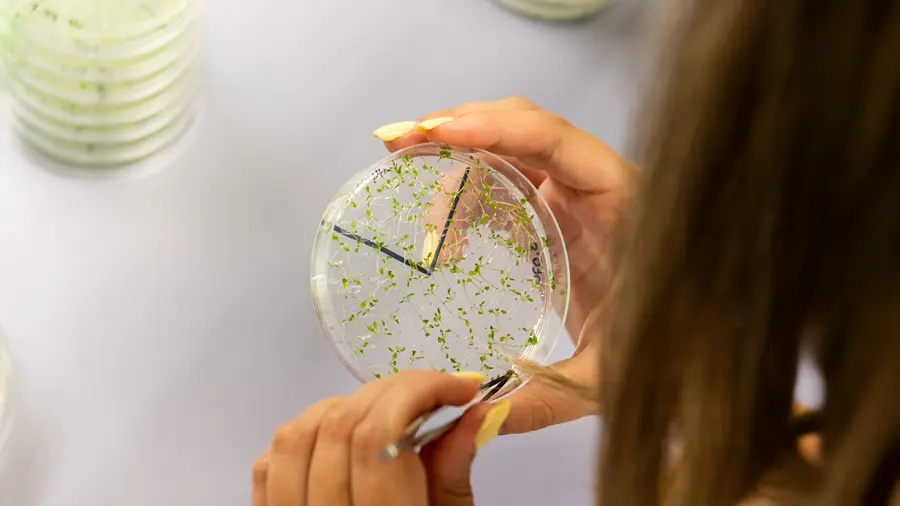 Imagen representativa de Institutos y centros de investigación por áreas de trabajo