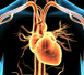 Investigaci� sobre l'infart de miocardi